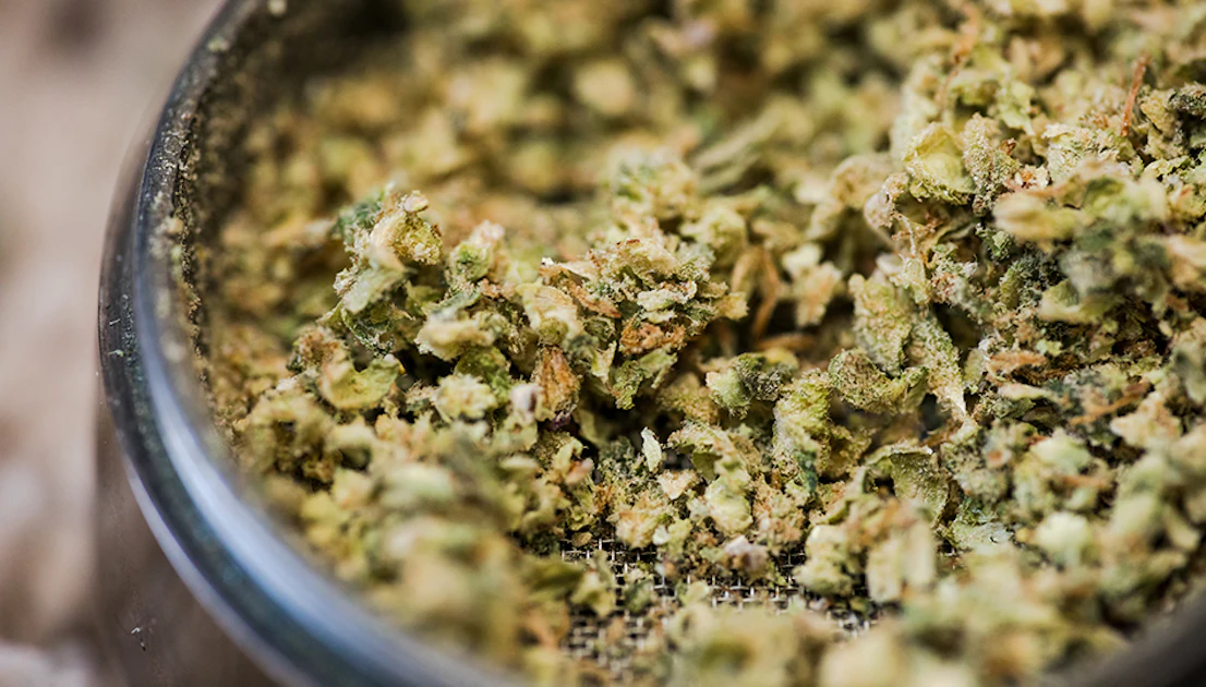 Pennsylvania Republicans Refuse to Budge on Cannabis Legalization
