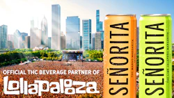 Senorita Official Thc Beverage Partner Lollapalooza 2026