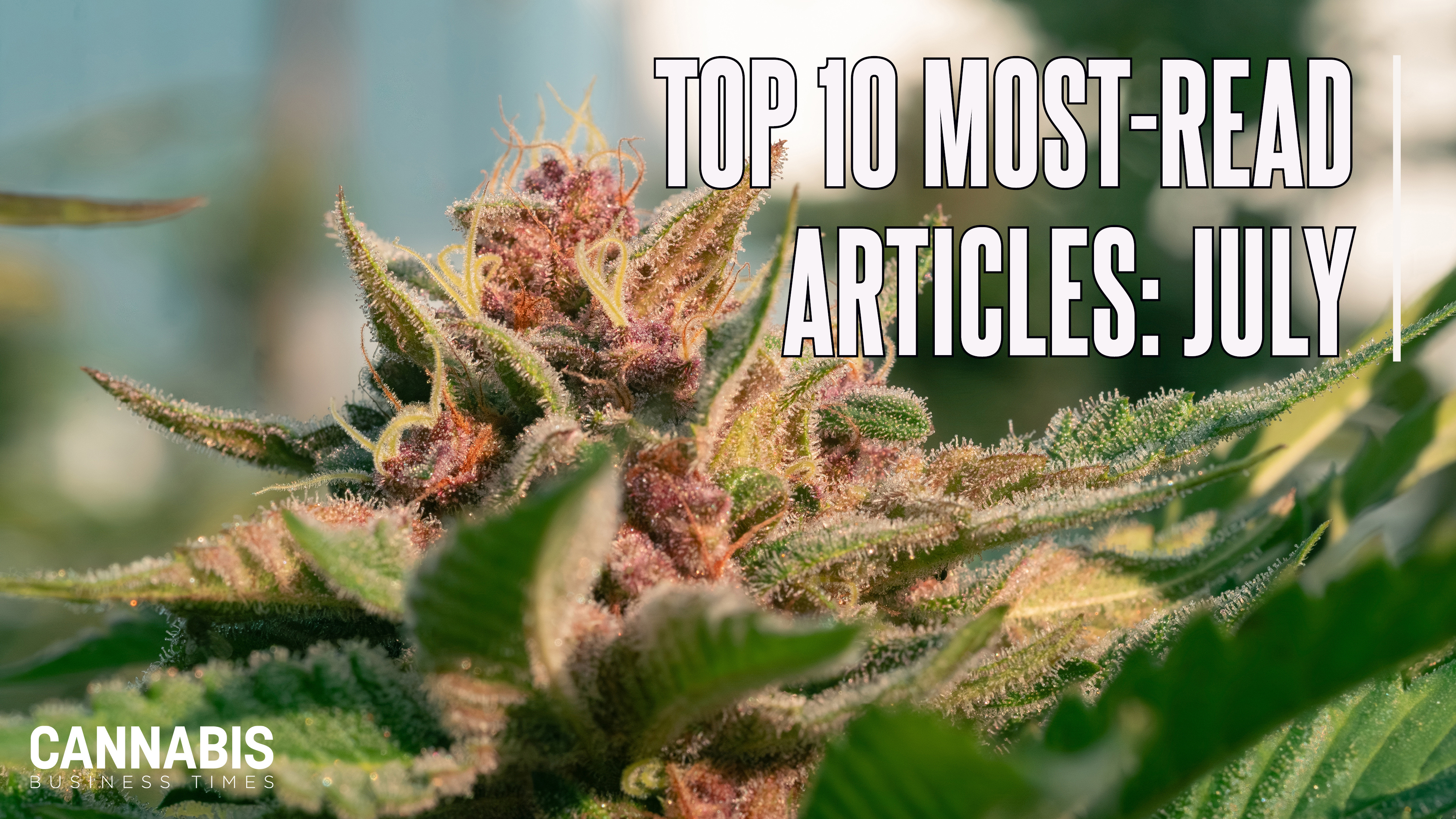 Top10 July 2026