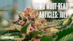 Top10 July 2026