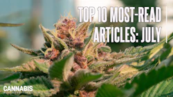 Top10 July 2026
