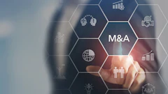 Curaleaf m&a 510218937