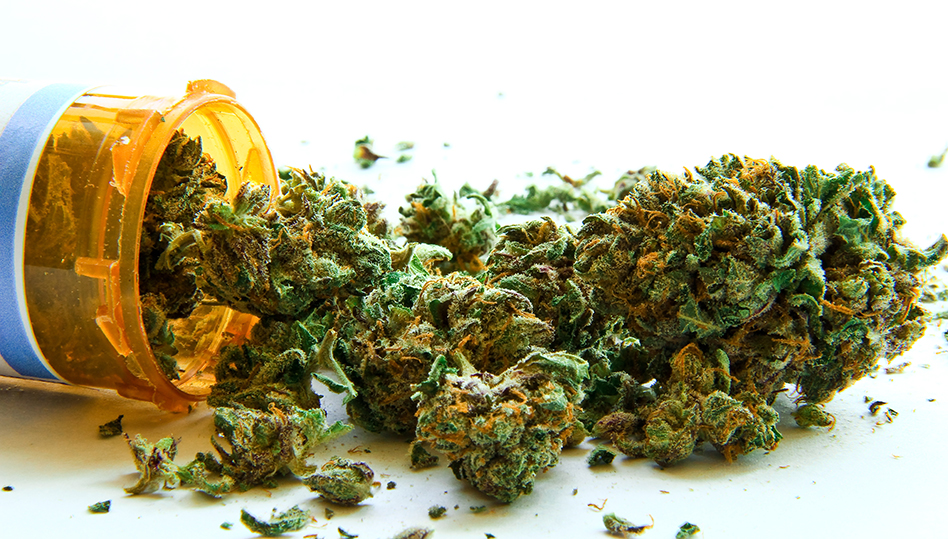 Dea brief Mmj 64990477