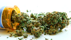 Dea brief Mmj 64990477