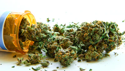 Dea brief Mmj 64990477