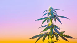 Dea transcripts 836320969