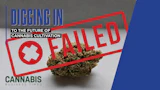 Photo by Cannabis Business Times; stamp adapted from Adobe Stock | NL