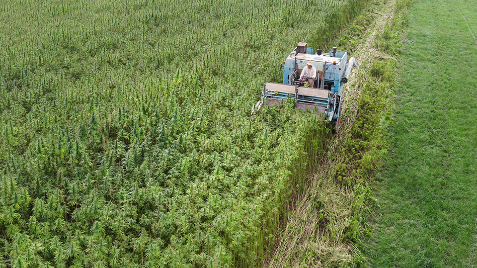 Hemp farm bill 381721142