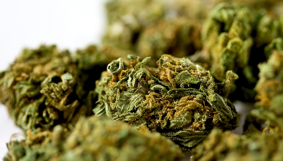 Michigan Cannabis Nugs 13423282