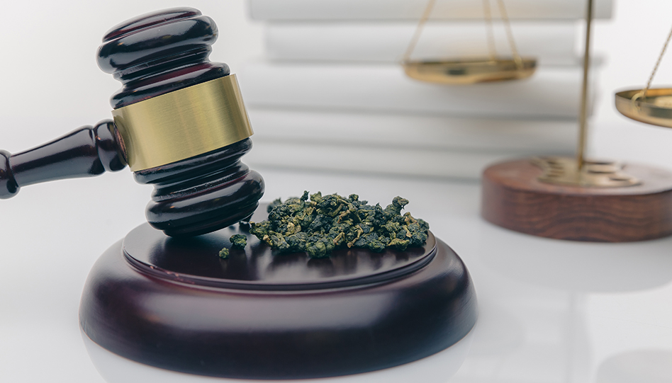 Nj Labor Law 337024654