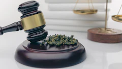 Nj Labor Law 337024654