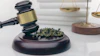 Nj Labor Law 337024654