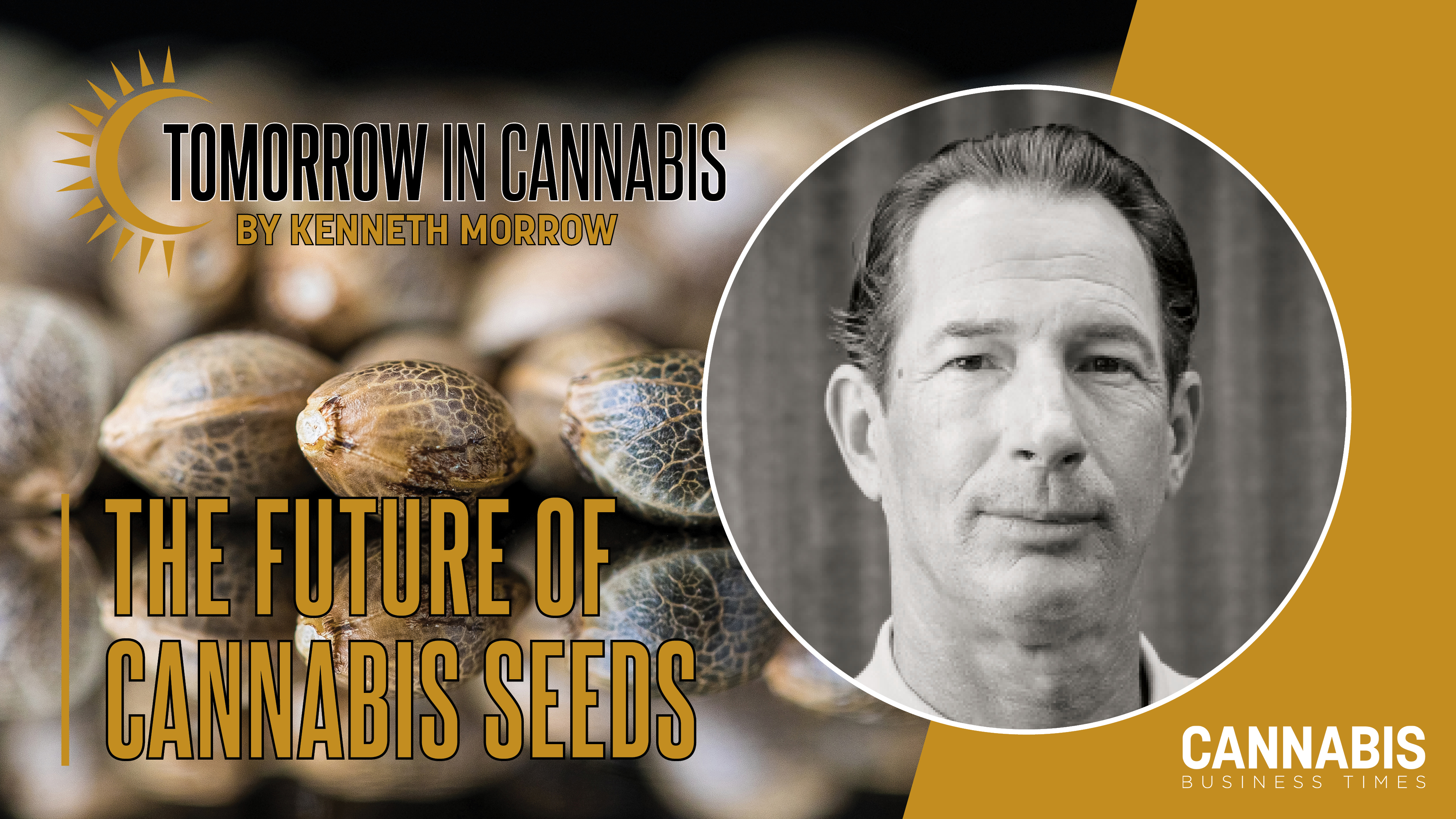 Tic Seeds Column Final