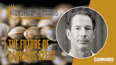 Tic Seeds Column Final