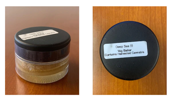 The photos above show medical cannabis concentrate of the strain “Deep Sea” as sold and packaged by Ganja World in 14-gram baller jars.