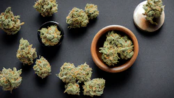 Jws 539550425
