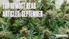 Cannabis plants with text overlay promoting top 10 most read articles for September