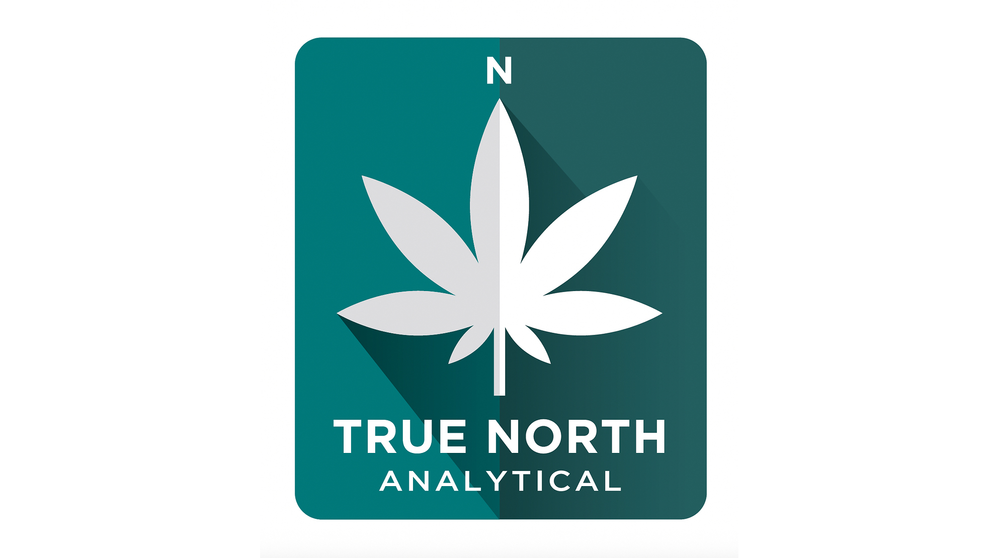 True North Analytical Logo