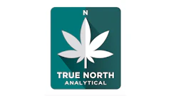 True North Analytical Logo