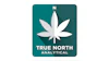 True North Analytical Logo