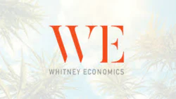 We Logo
