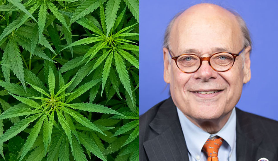 Split image showing cannabis plant leaves on left and professional headshot of man in glasses and business suit on right