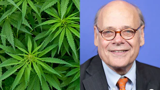 Split image showing cannabis plant leaves on left and professional headshot of man in glasses and business suit on right