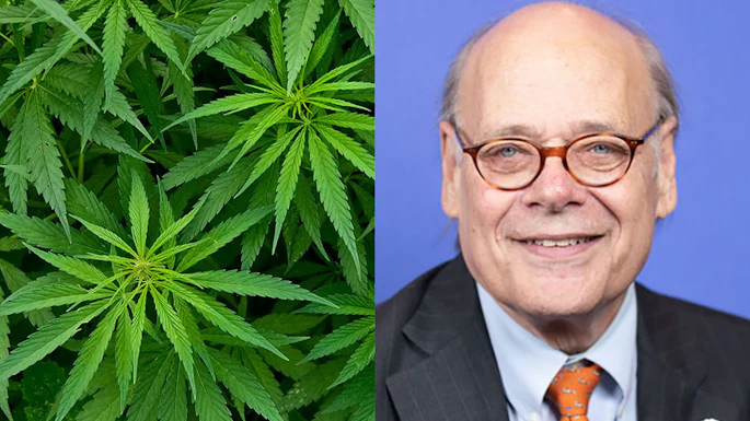 Split image showing cannabis plant leaves on left and professional headshot of man in glasses and business suit on right