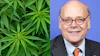 Split image showing cannabis plant leaves on left and professional headshot of man in glasses and business suit on right