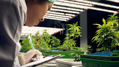 Researcher in protective gear documenting plant growth under LED lights in indoor vertical farm facility
