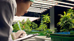 Researcher in protective gear documenting plant growth under LED lights in indoor vertical farm facility