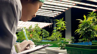 Researcher in protective gear documenting plant growth under LED lights in indoor vertical farm facility