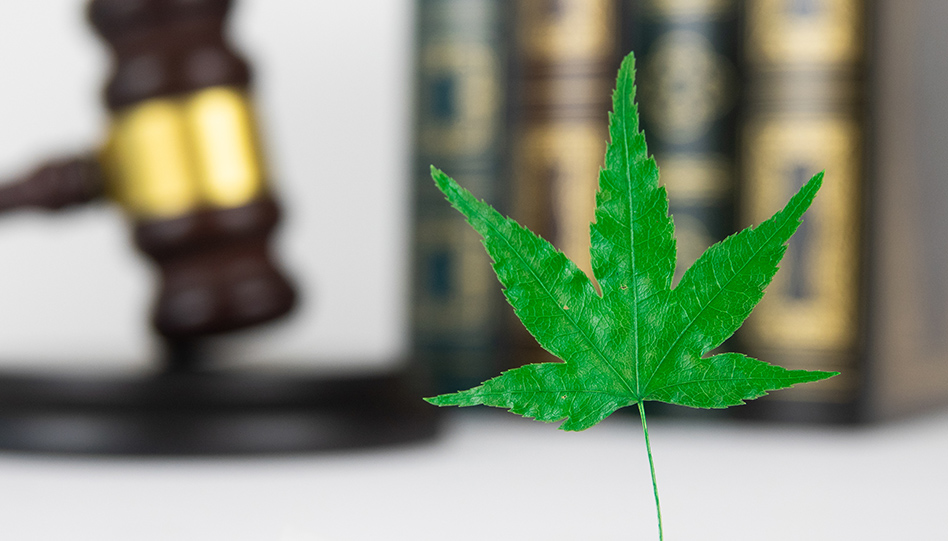 Green cannabis leaf in focus with blurred gavel and bottles in background suggesting legal or regulatory context