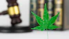 Green cannabis leaf in focus with blurred gavel and bottles in background suggesting legal or regulatory context