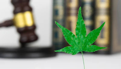 Green cannabis leaf in focus with blurred gavel and bottles in background suggesting legal or regulatory context