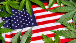 Green cannabis leaves arranged over an American flag background