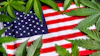 Green cannabis leaves arranged over an American flag background