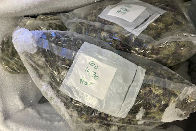 Packaged dried herbs in plastic bags with handwritten labels on white paper tags