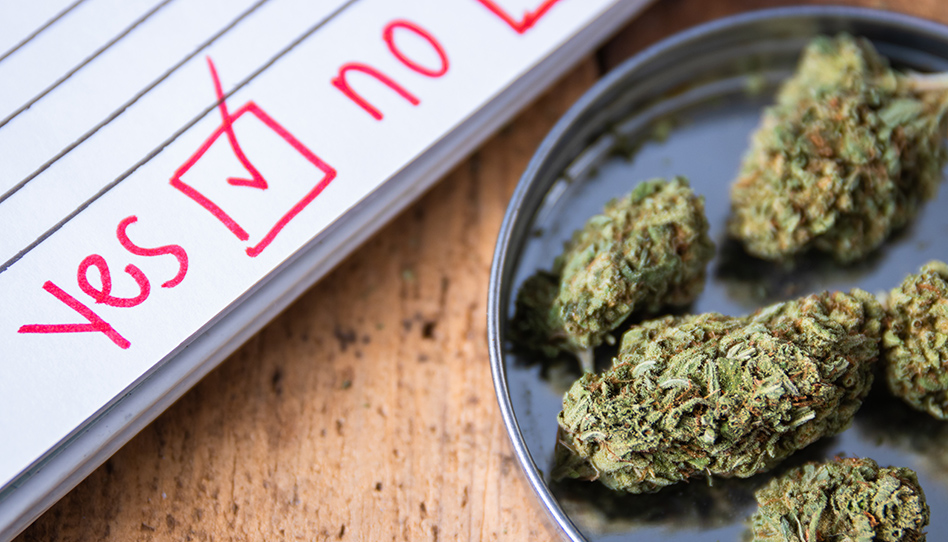Cannabis buds in a bowl next to a checklist form with 'Yes' marked in red