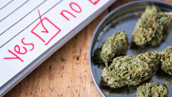 Cannabis buds in a bowl next to a checklist form with 'Yes' marked in red