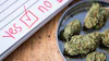 Cannabis buds in a bowl next to a checklist form with 'Yes' marked in red