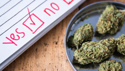 Cannabis buds in a bowl next to a checklist form with 'Yes' marked in red