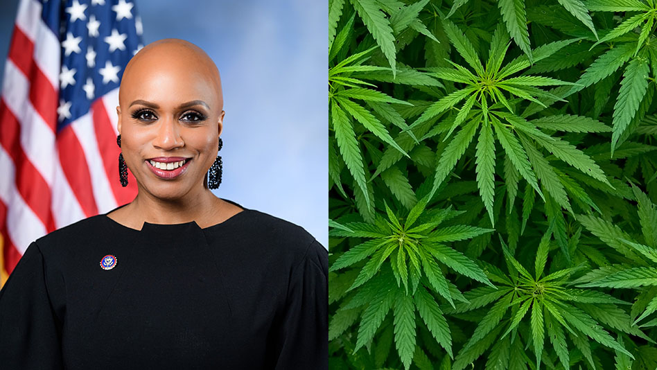 Professional headshot of woman with American flag backdrop alongside cannabis plant leaves