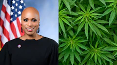 Professional headshot of woman with American flag backdrop alongside cannabis plant leaves
