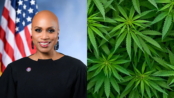Professional headshot of woman with American flag backdrop alongside cannabis plant leaves