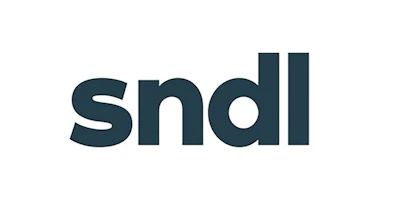 Sndl dark teal wordmark logo on white background